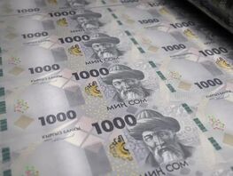 Когда рост становится опасным: предупреждение для кыргызской экономики
                  